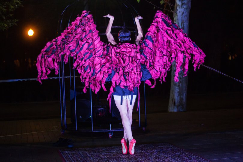 Imagen de una persona bailando de espaldas con una vestimenta de pájaro